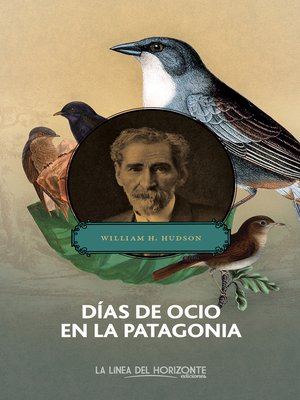 cover image of Días de ocio en la Patagonia